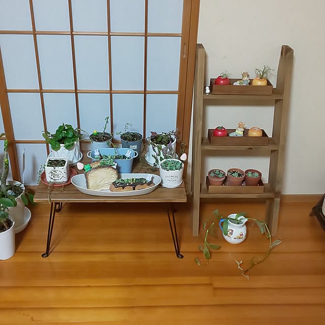 yumiyumiさんの部屋