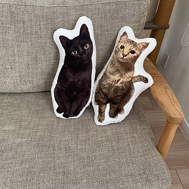satopiさんの実例写真