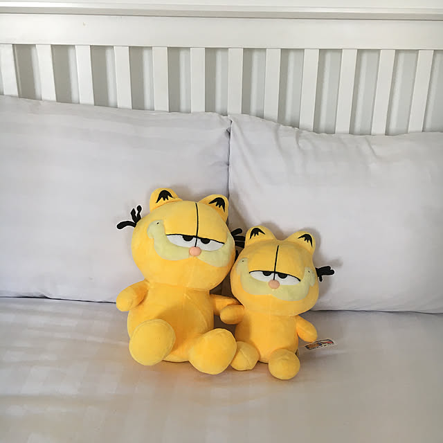 sasaさんの実例写真