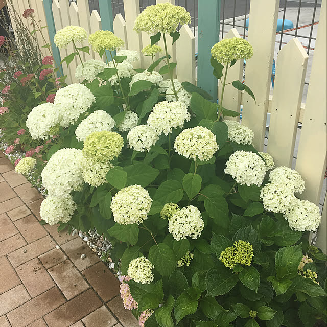 h_homeさんの実例写真