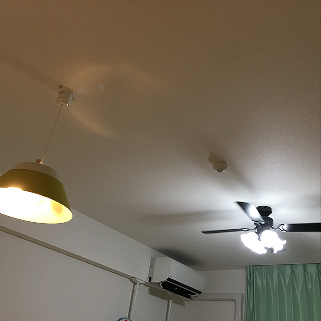 haaaaachanさんの実例写真