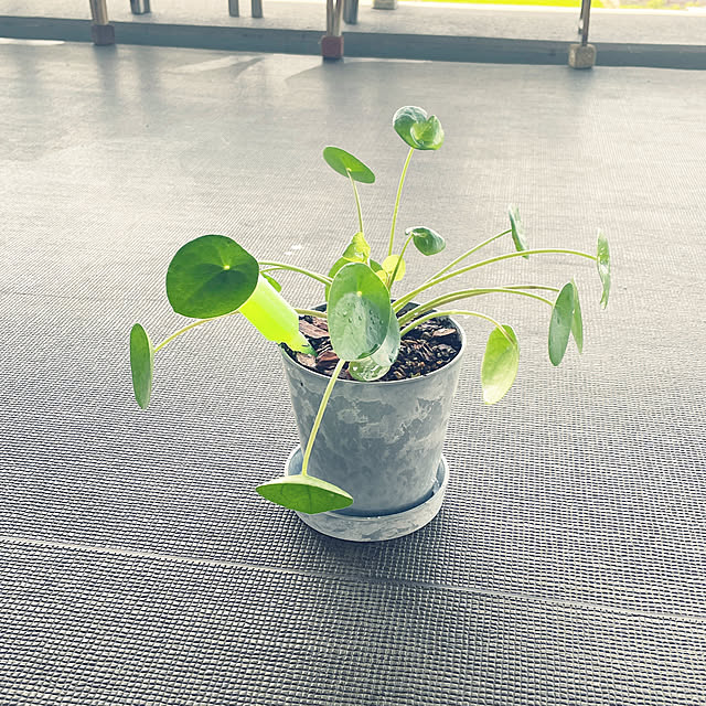 Rさんの実例写真
