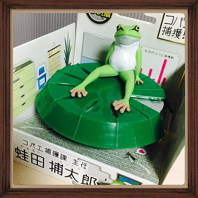 ainatsuさんの実例写真