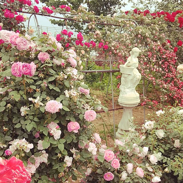 実例写真