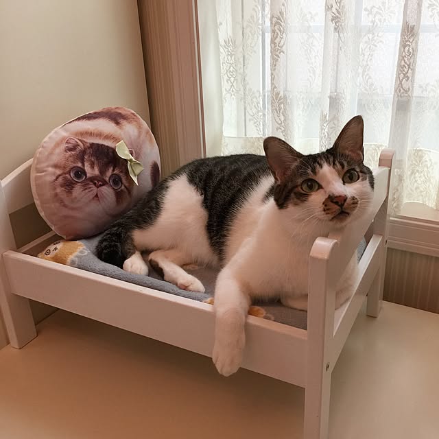 yuchiさんの実例写真