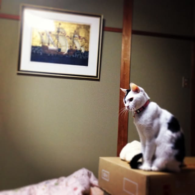 実例写真