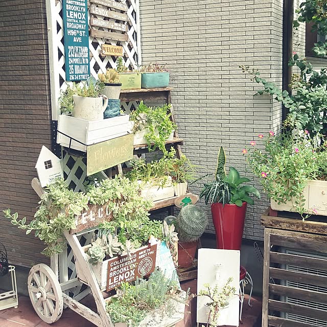 okayanさんの実例写真