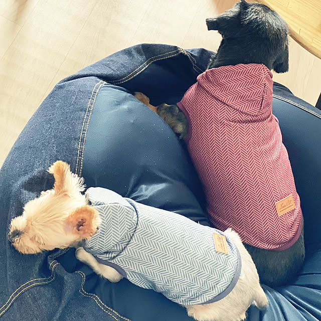ohanaさんの実例写真