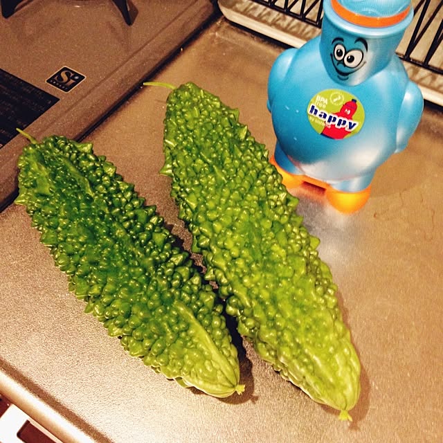 yapponさんの実例写真