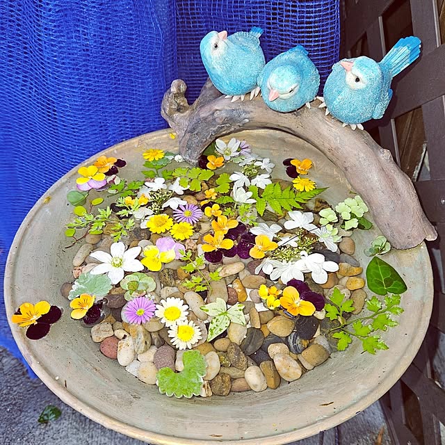 mocomocoさんの実例写真