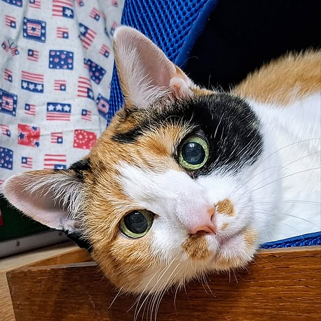 nanaさんの実例写真