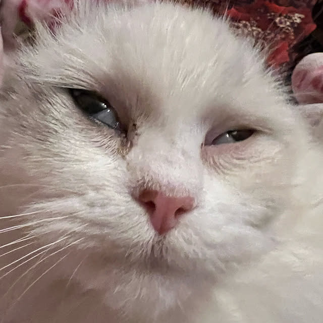 AYUKOさんの実例写真