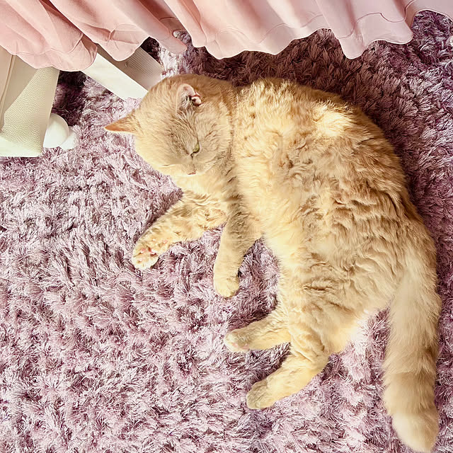 naokoさんの部屋