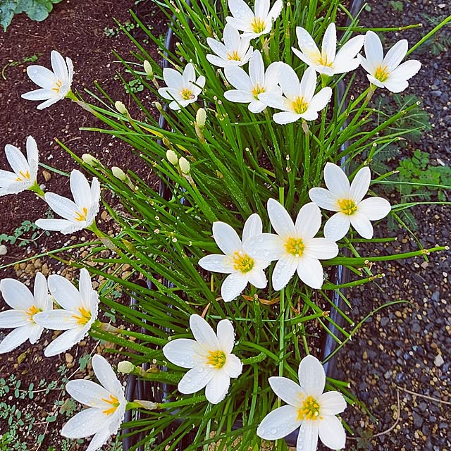 mocomocoさんの部屋