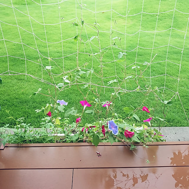 s_h_yさんの実例写真