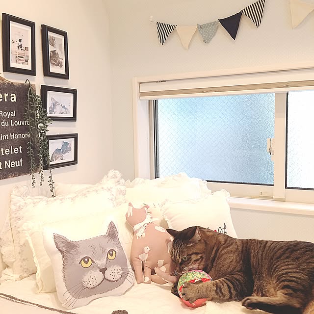lovecatさんの実例写真