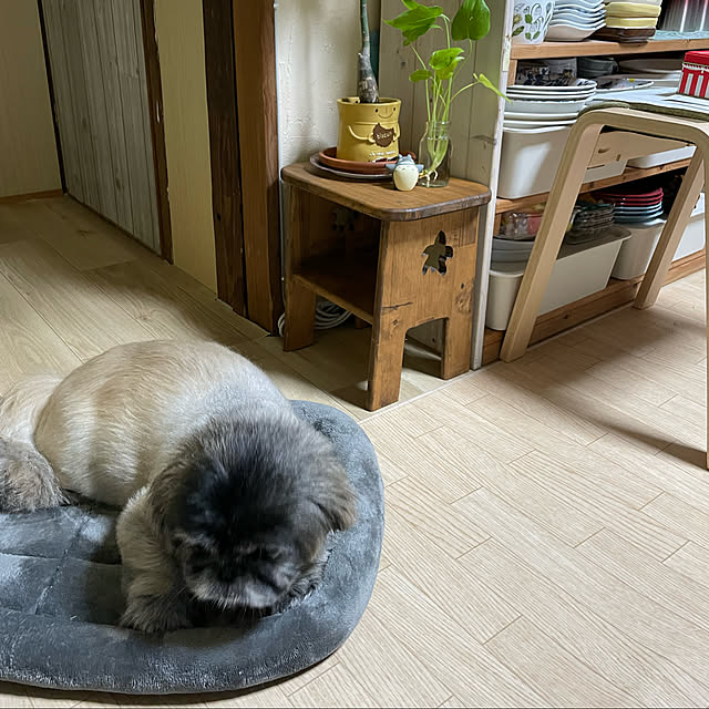 Kammiさんの実例写真