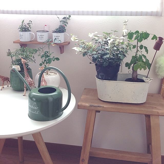 TOMOBINさんの実例写真