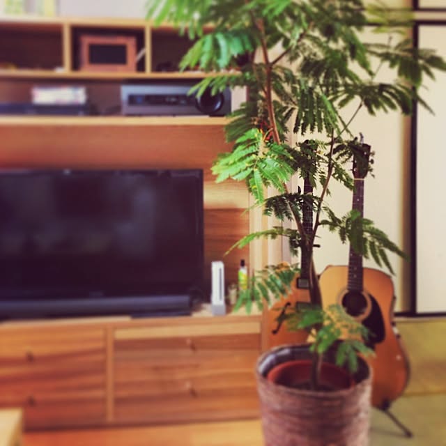 umeさんの実例写真