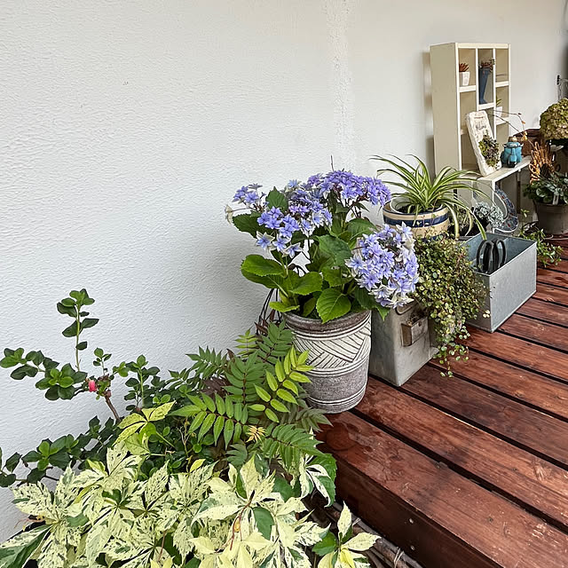 cotaさんの部屋
