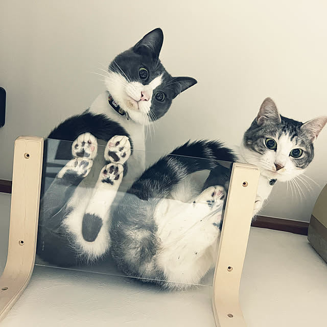RUNRUNさんの実例写真