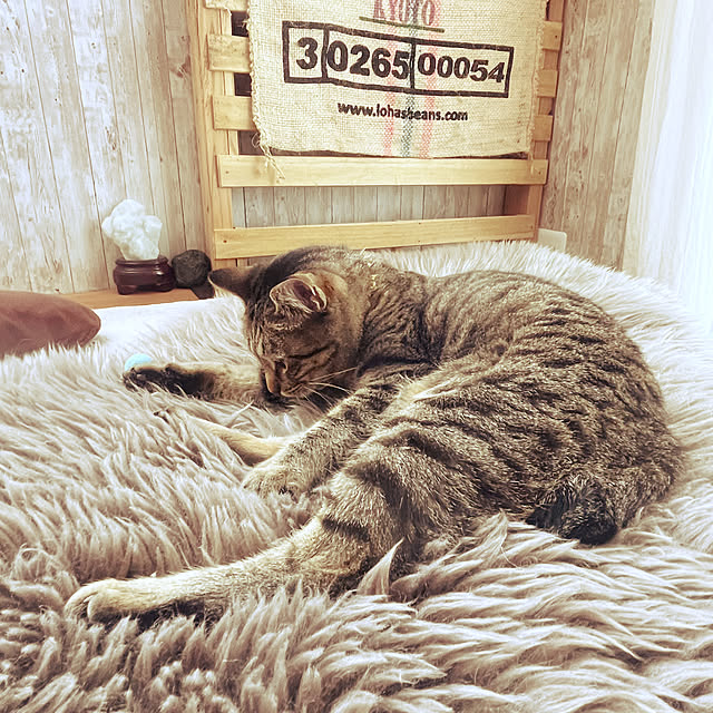 Mさんの部屋