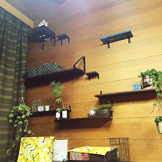 Matsuriさんの実例写真