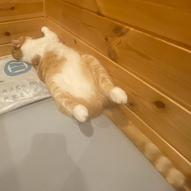 senbei.sakuramochiさんの部屋