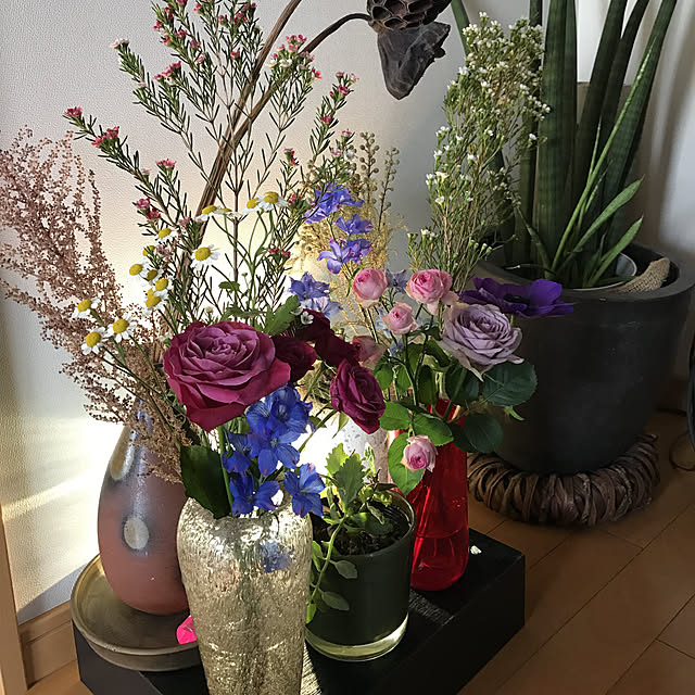 tsuyopipさんの実例写真