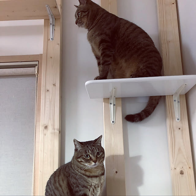 ringoandyuzuさんの実例写真