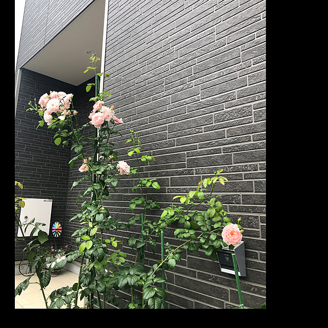 Hさんの部屋