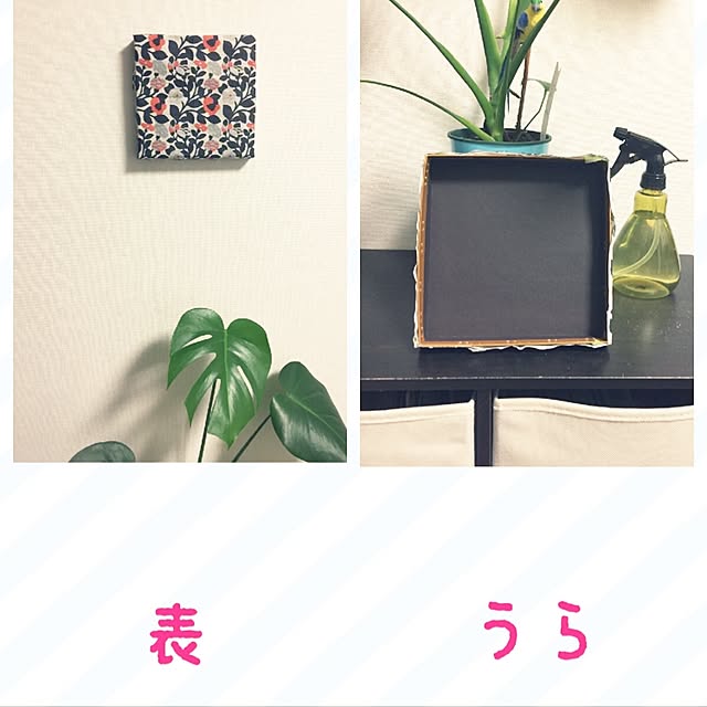 chiiiさんの実例写真