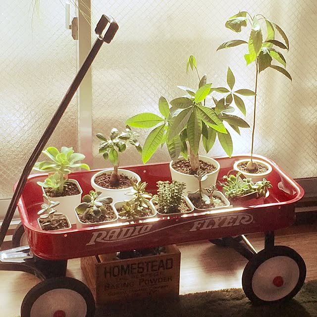 bananeさんの実例写真