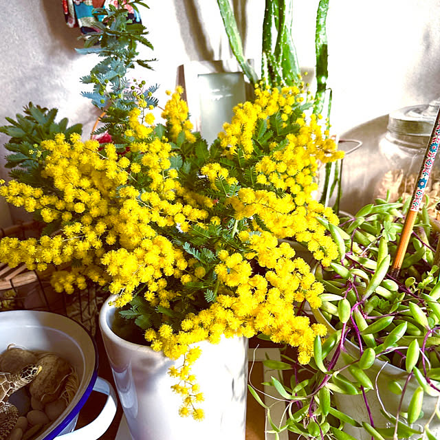 takakoさんの実例写真