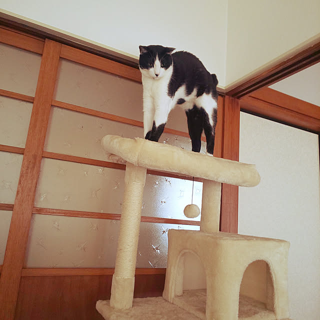 oseroさんの実例写真