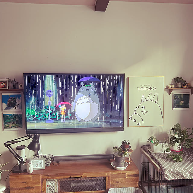 momoさんの実例写真