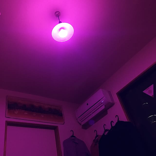 wanarchyさんの実例写真