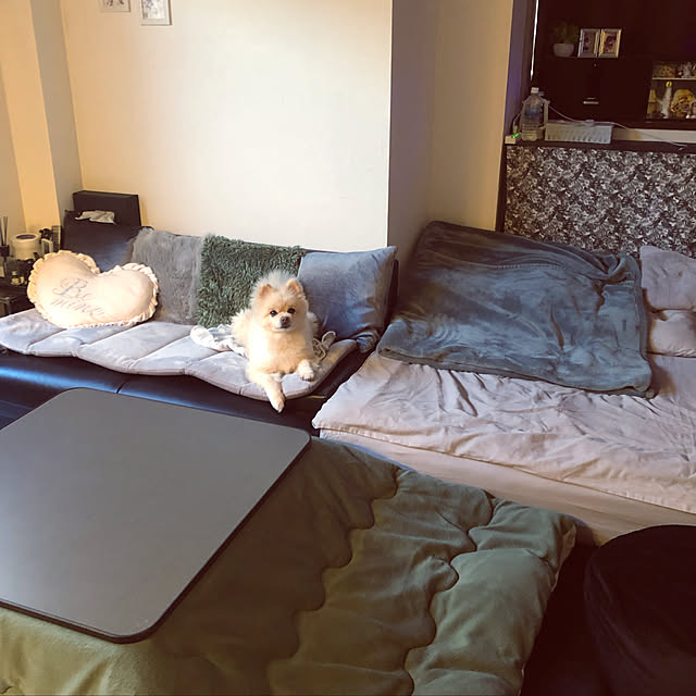 sacchiさんの実例写真