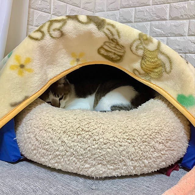 haruminさんの実例写真