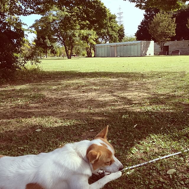 K-coさんの実例写真