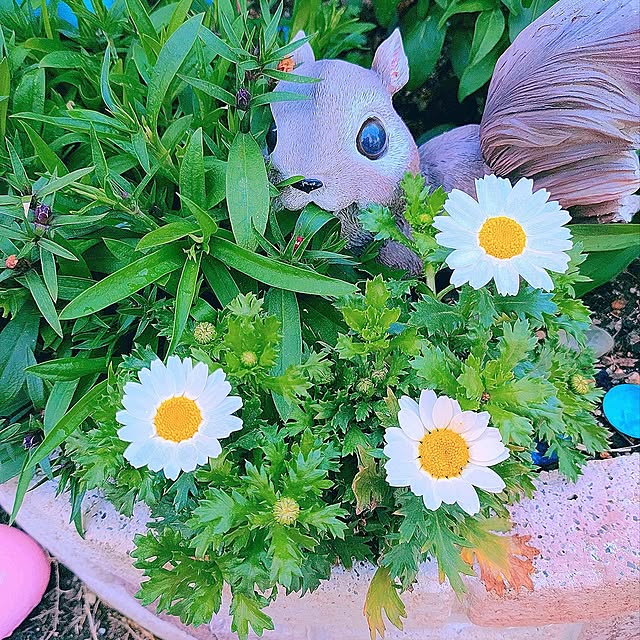 Miyumamaさんの実例写真