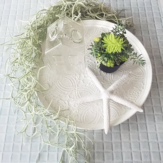 Saraさんの実例写真