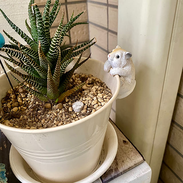 YuuKoさんの部屋
