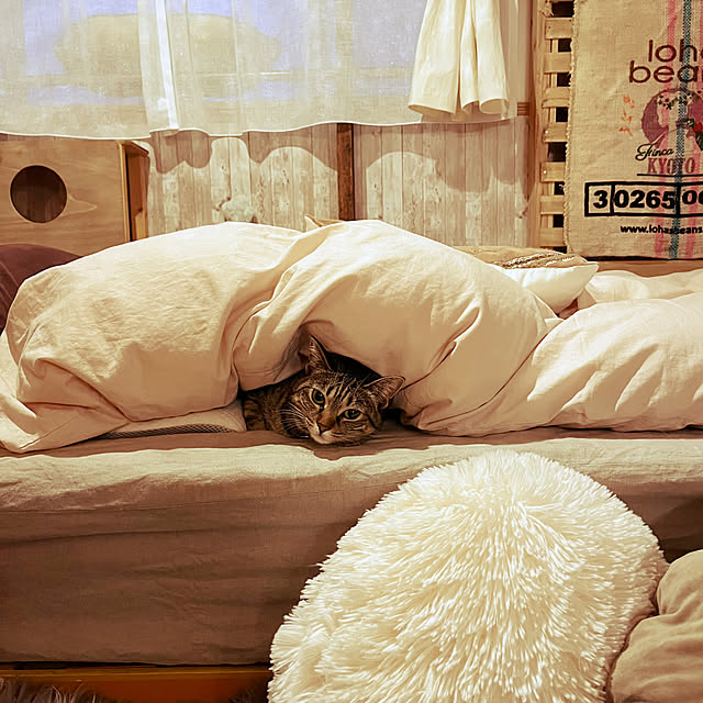 Mさんの部屋