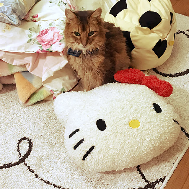 yukarinさんの実例写真