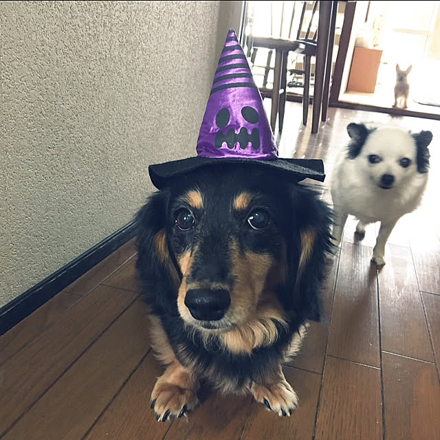 ohanaさんの実例写真
