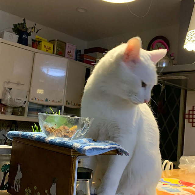 moyuhiさんの実例写真