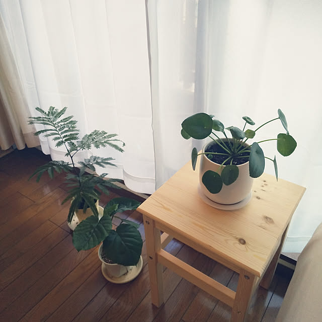 eebbさんの実例写真