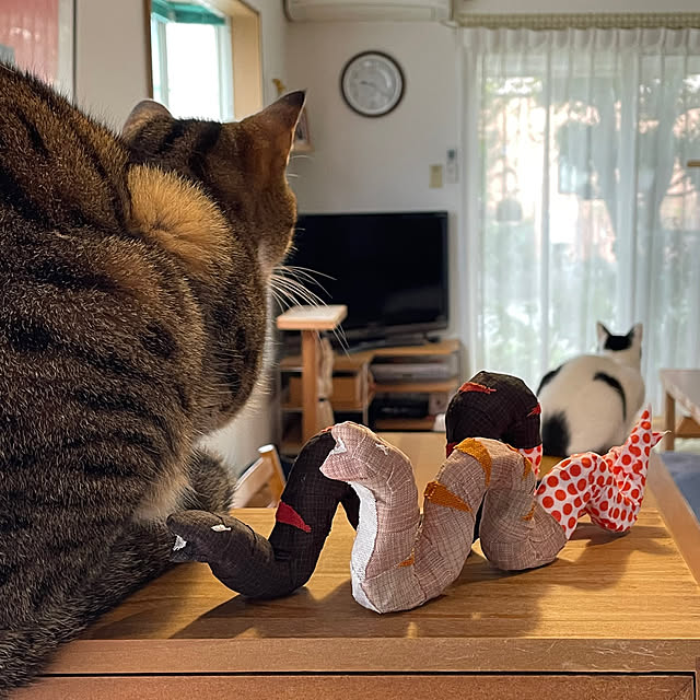 nobikoさんの部屋