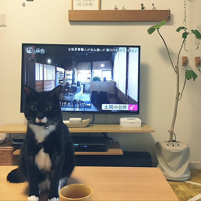 masamasaさんの実例写真